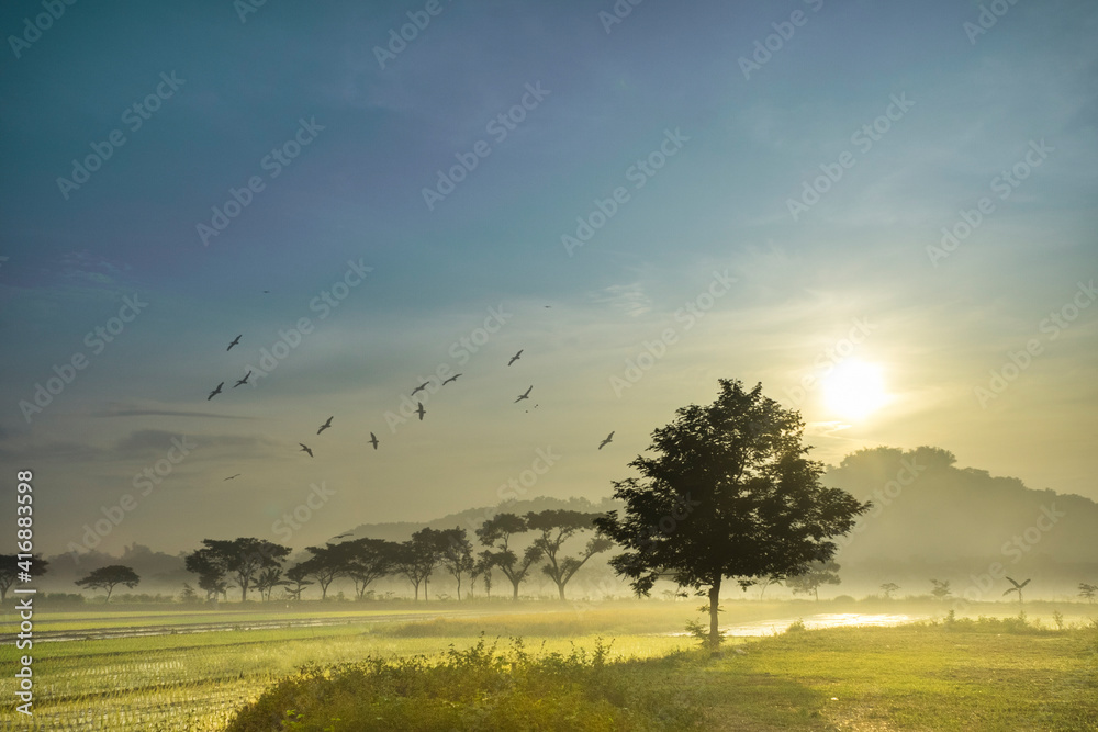Obraz premium sunrise over the field