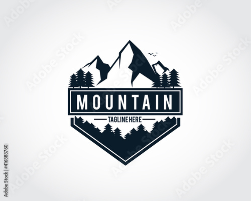 mountain rock forest hexagon vintage logo symbol design illustration inspiration