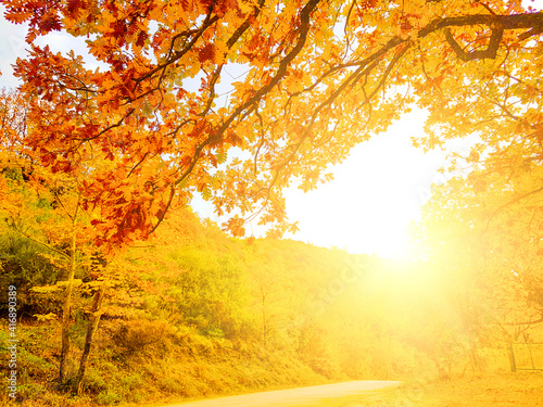 autumn sun on the road in autumn colors oak trees in Tzoumerka Arta Greece
