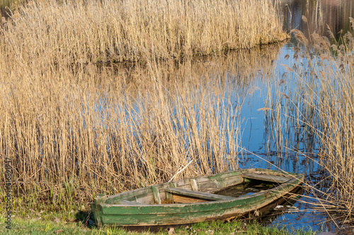 Water in boat. An old green wooden boat on the shore of a lake in reeds