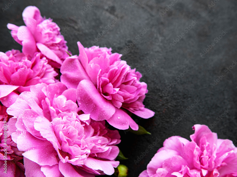 Peony flowers border on a black background Peony flowers border on a black background