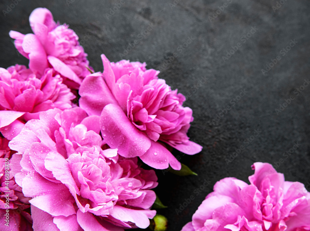 Peony flowers border on a black background