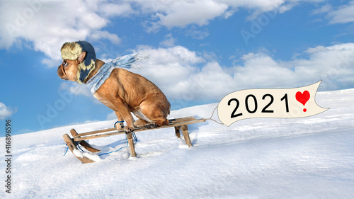 auf gehts ins Jahr 2021 photo