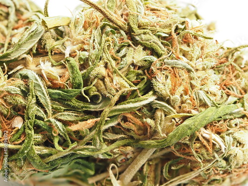 dry medical marijuana bud cannabis plants hemp