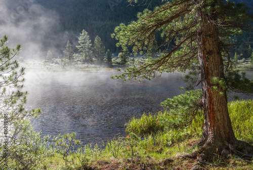 Foggy summer morning on the taiga river, light and greenery