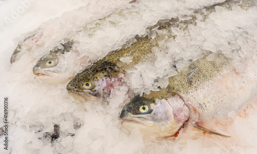Rainbow trout fish on ice at the fish market