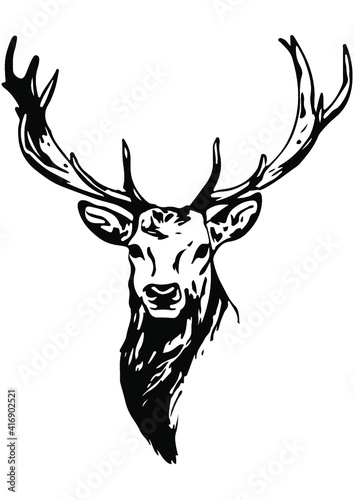 Hunt, Hunting, Deer, Bird, Woodland, Forest, Gun