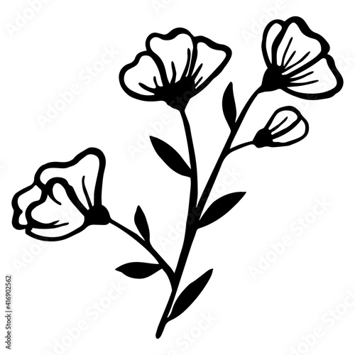 Botanical vector illustration isolated on white background. Flowers, leaves and branches are drawn by hand and ink. Black contour plants. Design for labels of tea and cosmetics.