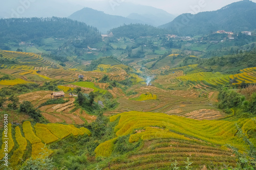 landescape rice terraces in vietnam, mu cang chai 
