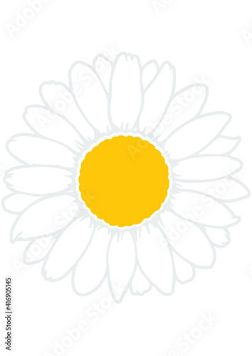 Fototapeta Naklejka Na Ścianę i Meble -  Daisy, Flower, Nature, Summer