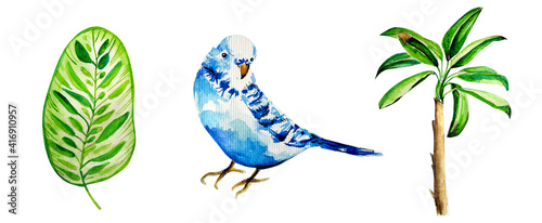 Set Watercolor painting of tropical art illustration