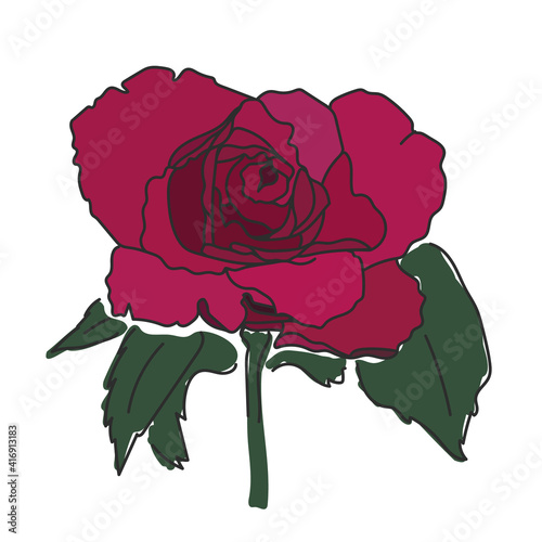 Sketch Rose Bud, hand drawn rose. Vector illustration