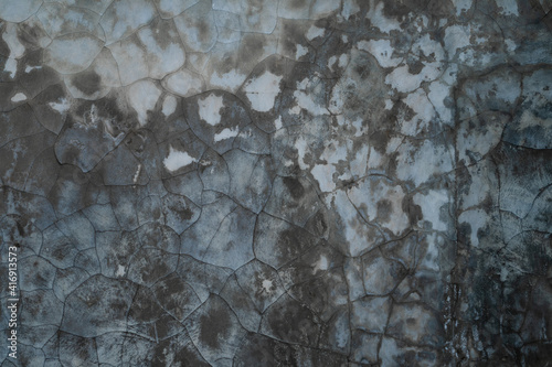 Obraz na płótnie Texture of old gray concrete wall for background w salonie