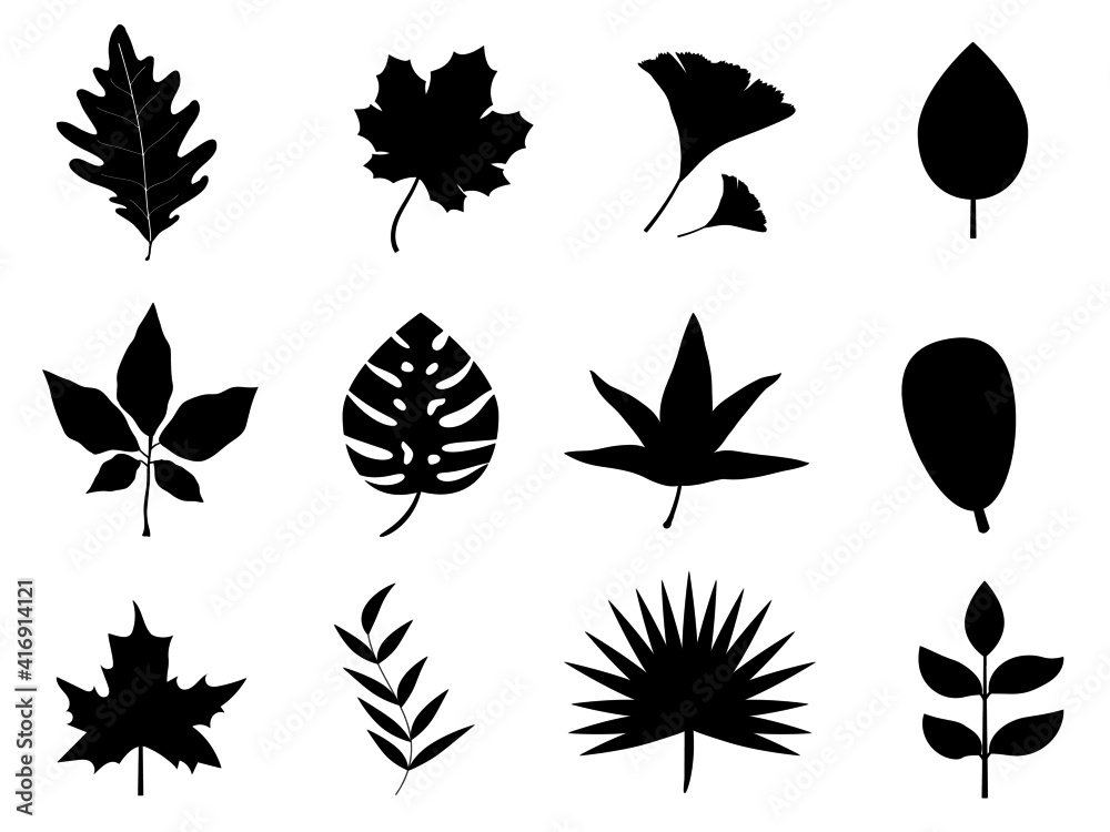 set of leaves silhouettes set of leaves silhouettes