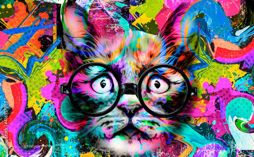 cat and colorful background