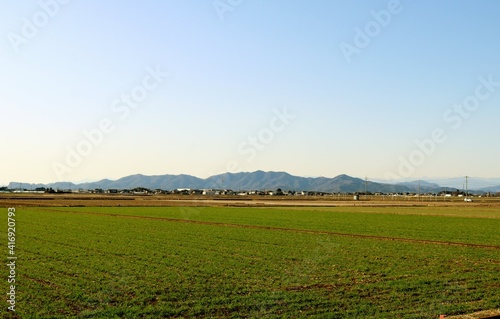 麦畑のある　田舎　風景
