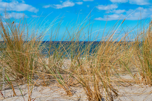 Sandd  nen an der Ostsee im Hintergrund die Ostsee von K  hlungsborn  Mecklenburg-Vorpommern  Deutschland