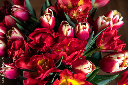 the bouquet of variegated red tulips