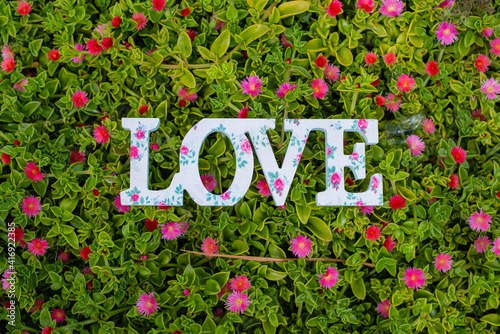 love sign on flowers and grass background