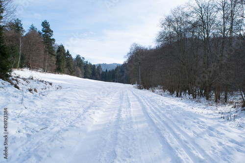 Snowy road in forest in winter © Matej