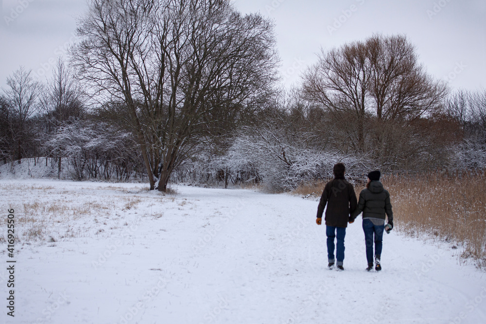 Two people hand in hand walking in winter landscape with naked trees. Shot from behind.