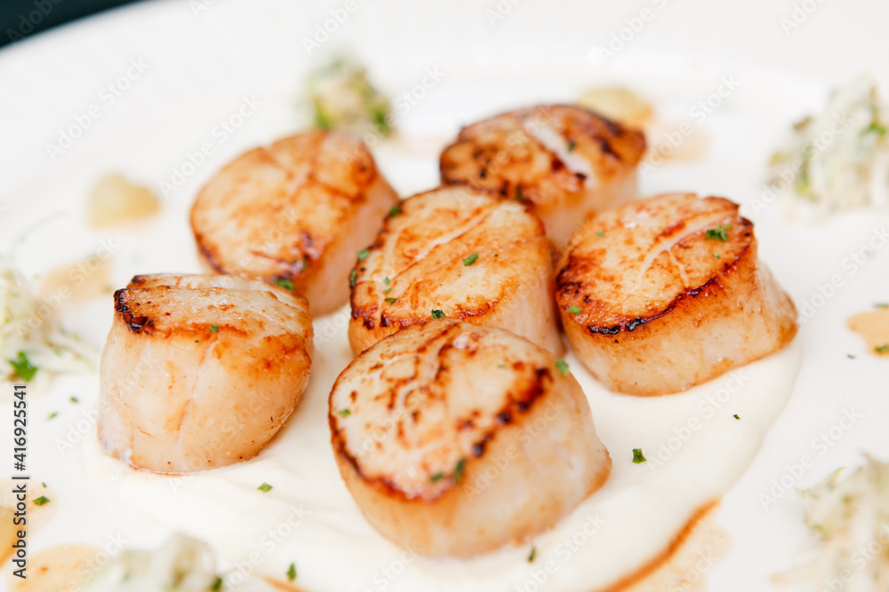 grilled scallop on plate grilled scallop on plate