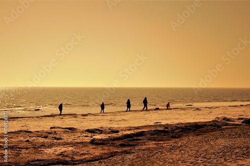 Silhouette of a family with dog walking in the sunset on the beach © Bernadette