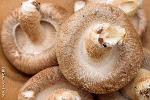 Close up of fresh shiitake mushrooms