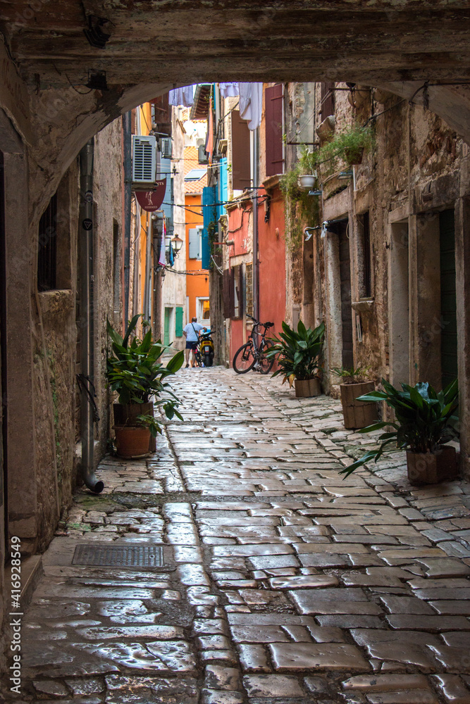 old narrow street in the town / croatia - istria - rovinj
