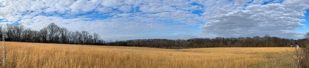 Panorama field hay clouds sunny trees