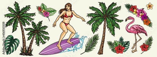 Surfing colorful elements collection