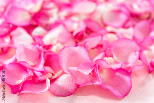 Rose petals