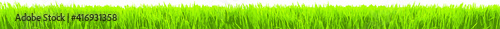 Fresh green grass in large wide panorama as frame border in a seamless empty white transparent background. Vector illustration.