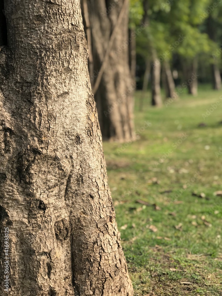 Obraz premium Race Course Park Lahore