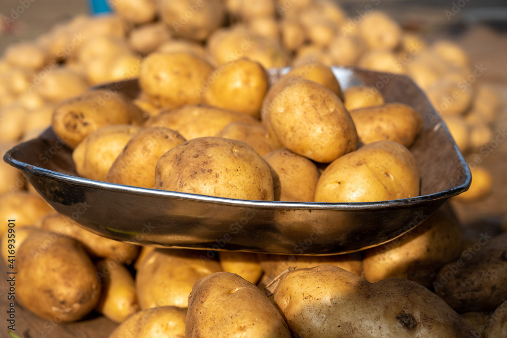 Potatoes in the market Potatoes in the market