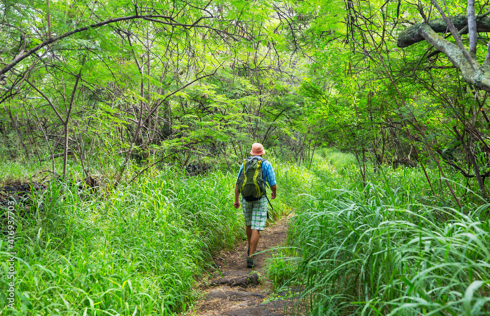 Obraz premium Hike in Hawaii