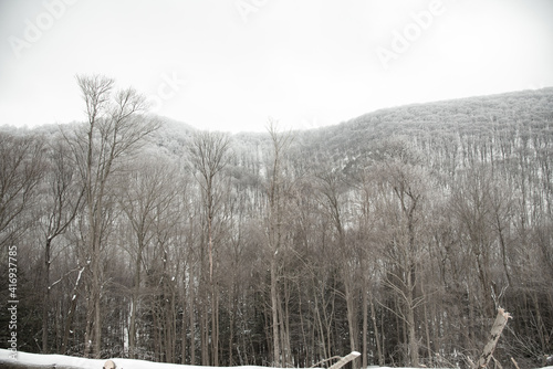 My eyes look up to the mountain tops and beg my feet to go