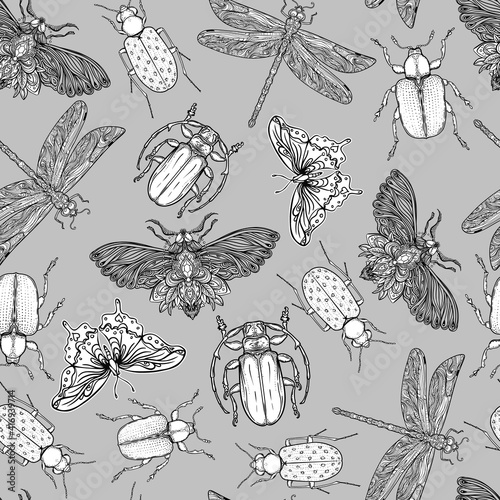Black and white beetles, butterflies and dragonflies seamless pattern, isolat...