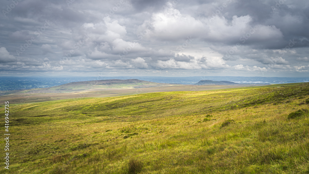 Green meadow or bog with long grass, illuminated by sunlight, Cuilcagh Mountain Park, stormy, dramatic sky in background, Northern Ireland