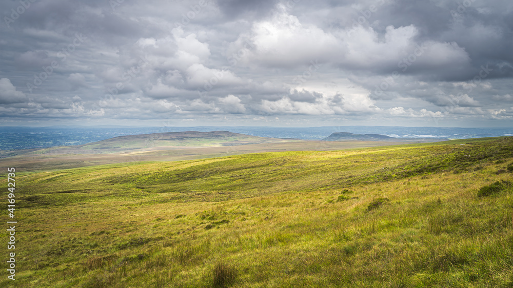 Green meadow or bog with long grass, illuminated by sunlight, Cuilcagh Mountain Park, stormy, dramatic sky in background, Northern Ireland Green meadow or bog with long grass, illuminated by sunlight, Cuilcagh Mountain Park, stormy, dramatic sky in background, Northern Ireland
