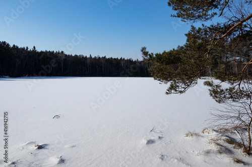 Frozen pond Czarny Staw in the Niepolomice Forest (Poland) on a sunny winter day. Ice sheet covered with snow, frozen lake photo