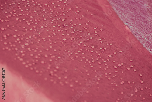 Water drops on waterproof membrane fabric. Detail view of texture of pink synthetic waterproof cloth. Morning dew on tent.