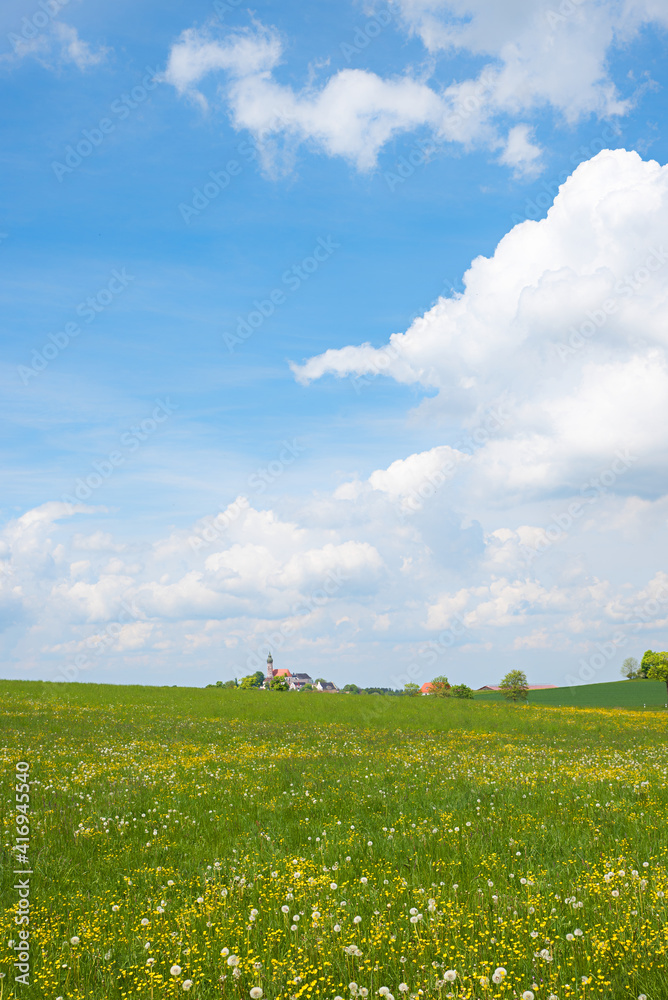 rural landscape around Andechs cloister, green meadows with buttercup and blowballs. vertical shot