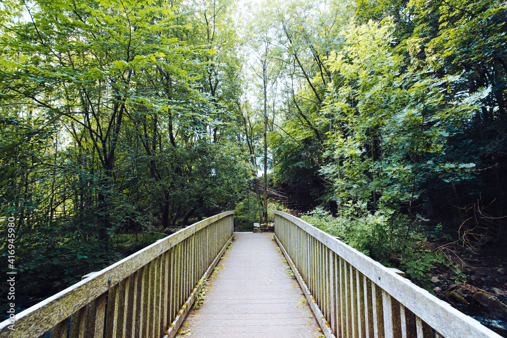 Fototapeta premium A wooden footbridge at the Bowless Visitor Centre Bowlees Tees Valley, County Durham