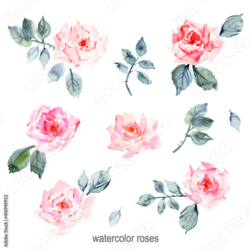 Hand drawn watercolor rose flowers, leaves and branches, pink stains