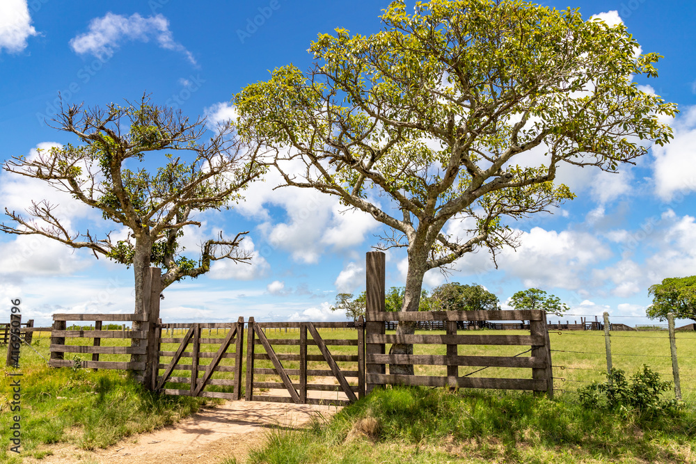 Farm wood gate with trees and iron fence