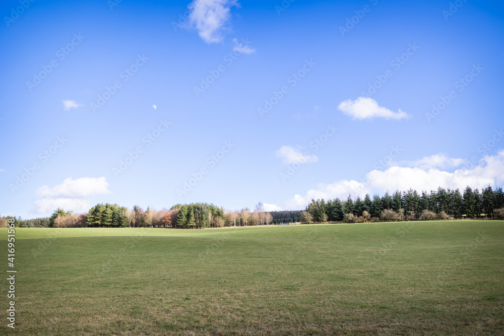 Looking up an empty green field with bright blue sky. Simple composition on a summers day.