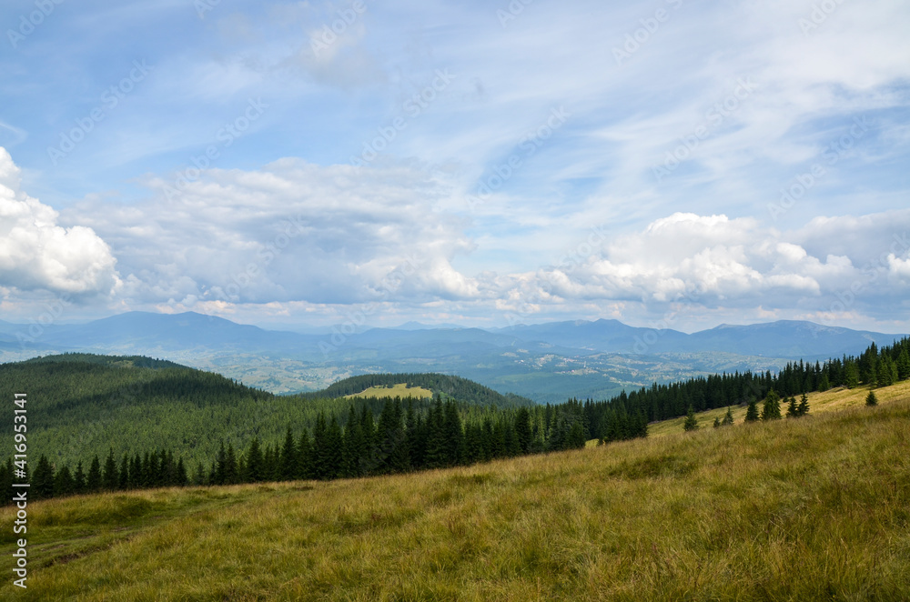 Grassy slopes of pastures among the forest high in the mountains. Carpathian mountains in summer. Beauty of nature. Hiking destination. Grassy slopes of pastures among the forest high in the mountains. Carpathian mountains in summer. Beauty of nature. Hiking destination.