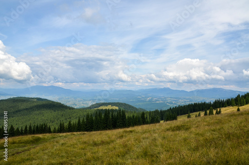 Grassy slopes of pastures among the forest high in the mountains. Carpathian mountains in summer. Beauty of nature. Hiking destination.