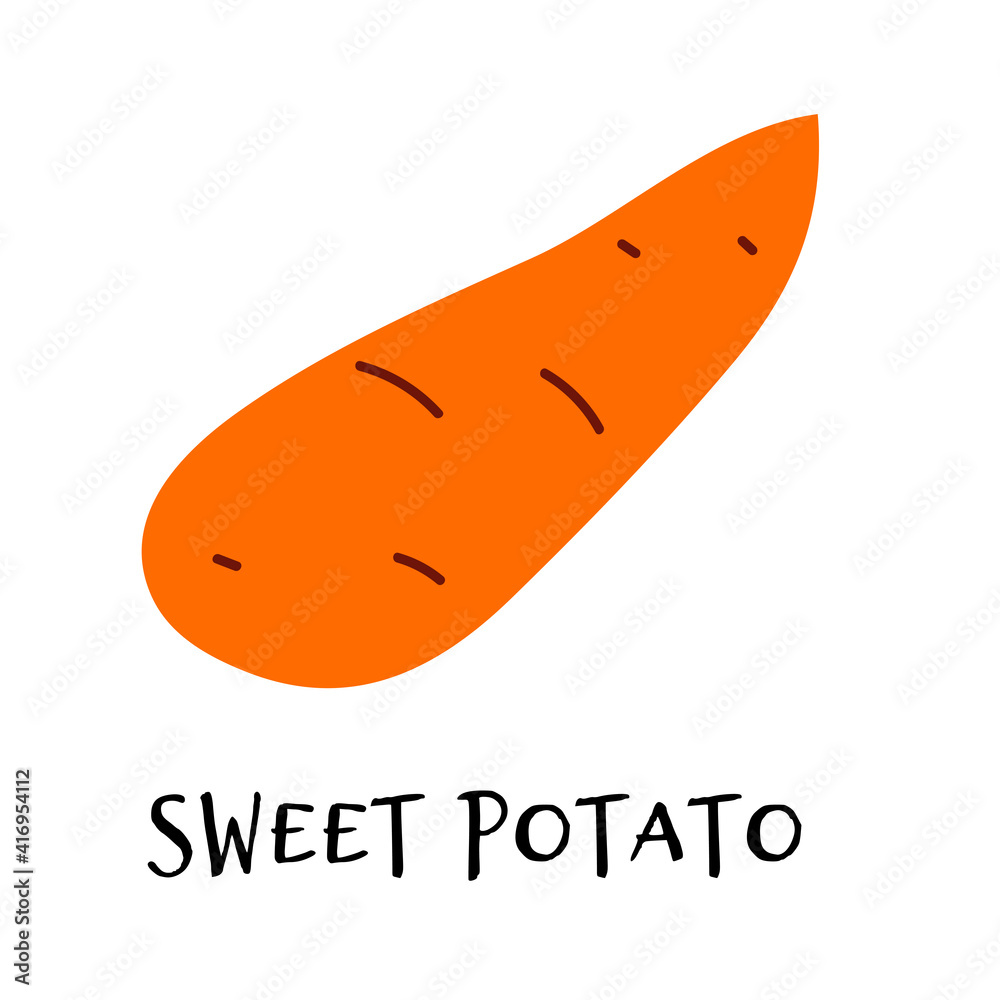 Vector illustration of sweet potato in hand drawn flat style. Vector illustration of sweet potato in hand drawn flat style.